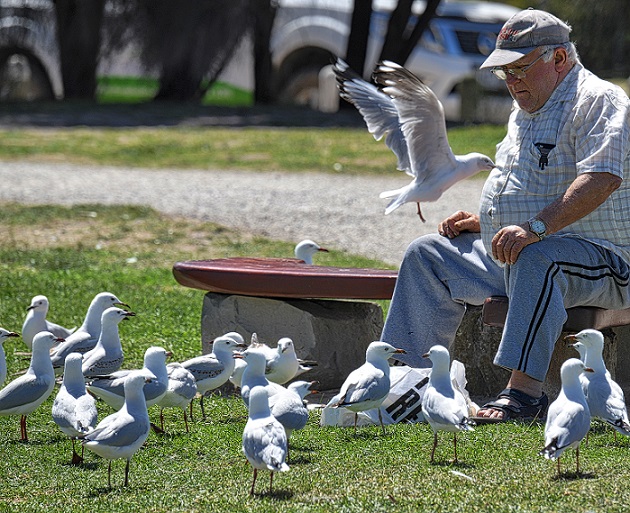 christmas gifts for elderly - elder feeding birds